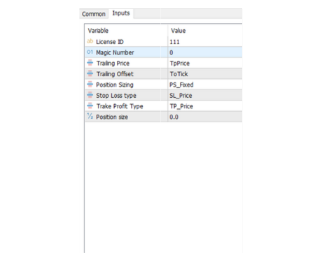 Pinetrader metatrader 5 connector input window